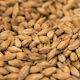 Pale Ale 6ebc Trakis