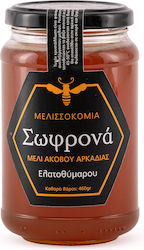 Melissokomia Sofrona Fir And Thyme Honey 460Gr