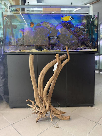 Τροπικα Ξυλα Ενυδρειου Hs Aqua Woodstump 60-90cm 3.6kg