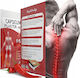 Royal Prestige Thermal Patches for Muscle Pain & Joints 8 Pieces