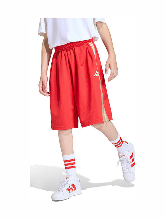 Sport Kids Shorts/Bermuda Red
