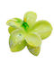 Kids Hair Clip Flower In Turquoise Colour