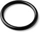 Jabsco Dichtung O-Ring Zylinder