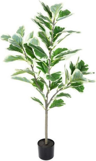 Lyrata Ficus in Pot 130cm Atmosphera