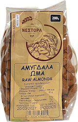 Βιολογικά Αμύγδαλα Ωμά Αγρόκτημα Νέστορα Γρεβενών 200gr Βιολογικά Αμύγδαλα Ωμά Αγρόκτημα Νέστορα Γρεβενών 200gr