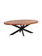 Oval Central Coffee Table Montana Made of Solid Wood Beige W120xD61xH45cm