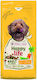 Happy Life 12.5kg Trockenfutter für Erwachsene Hunde Kleine Rassen mit Huhn, Fleisch und Reis