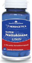 Herbagetica Super Nattokinase 60 Capsule Herbagetica Super Nattokinase 60 Capsule