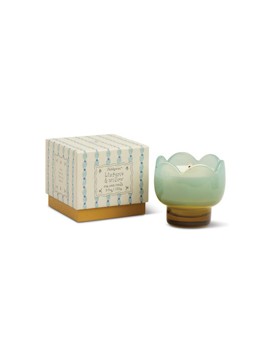 Paddywax Αρωματικό Κερί Σόγιας σε Βάζο με Άρωμα Γιασεμί 155gr