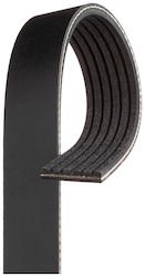 Gates Curea de Antrenare Canelată 6pk2460 Gates Curea de Antrenare Canelată 6pk2460