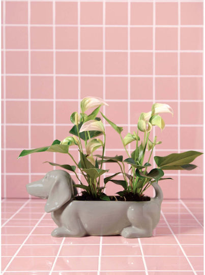 Hintsdeco Stone Plant Pot Beige