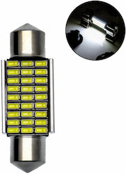 Rchang 36mm Λάμπα C5W LED Ψυχρό Λευκό Rchang 36mm Λάμπα C5W LED Ψυχρό Λευκό