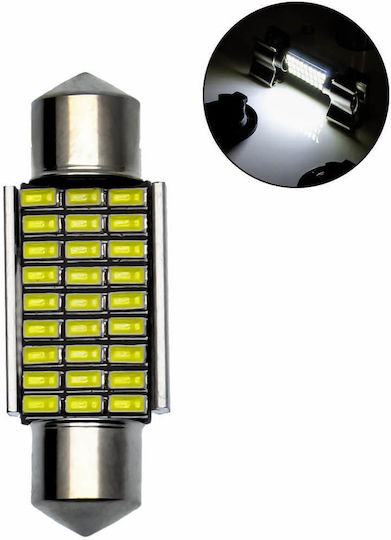 Rchang Car Lamp 36mm C5W Canbus LED 6500K Cold White 12V