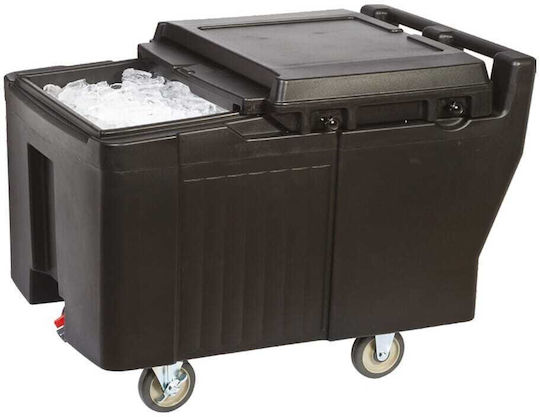 Temno Επαγγελματικό Ισοθερμικό Κιβώτιο 175lt 61x97x75cm