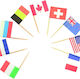 Toothpicks Flags 24 Pieces