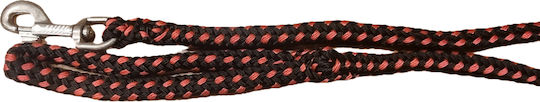 Schweikert Dog Leash/Lead Strap In Red Colour