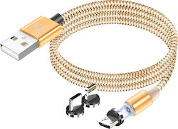 Avizar Cablu 3-in-1 Magnetic Usb-c Lightning Micro-usb La Usb-a 1m Auriu Avizar Cablu 3-in-1 Magnetic Usb-c Lightning Micro-usb La Usb-a 1m Auriu