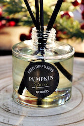 Raumdüfte Reed Diffusoren Kürbis-Gewürz 120ml