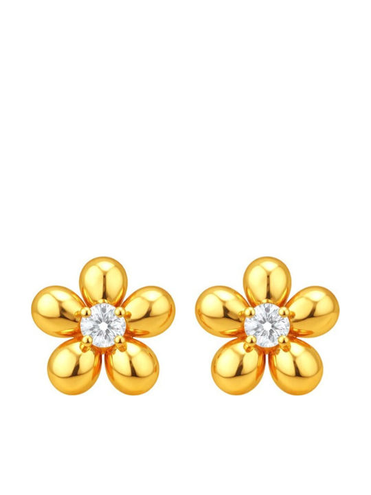 Xryseio Silver Gold Plated Earrings with Stones