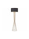 Homeplus Floor Lamp H175xL35cm with Socket for E27 Bulb Gold