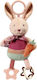 Babyono Pendant Toy for Cot and Stroller for Newborns