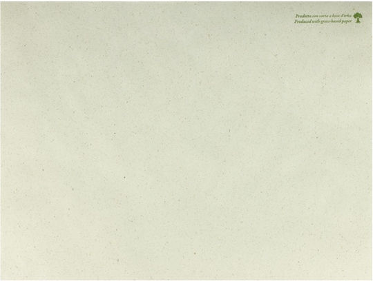 Raki Papier Tischplattenhalter 30x40cm Erba Decor Set mit 250 Stück