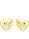Xryseio Earrings Silver Gold Plated with Stones