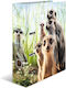 Herma Arc Ring Binder 4/30 For A4 Paper 1 Piece