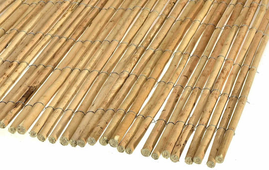 Ra-Ba Bamboo Fencing from Chaste Tree with Whole Reed 2x5m