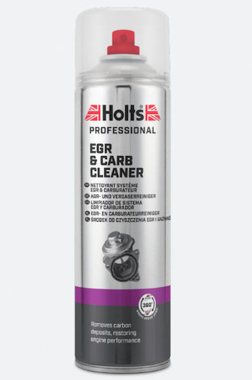 Holts Egr & Technische Sprays Reinigungsmittel 500ml
