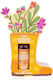 Accentra Scrub Pentru Mâini 50ml