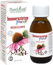 Plantextrakt Imunorezistan Junior Raceală și Gripă 125ml Agriș Neagră