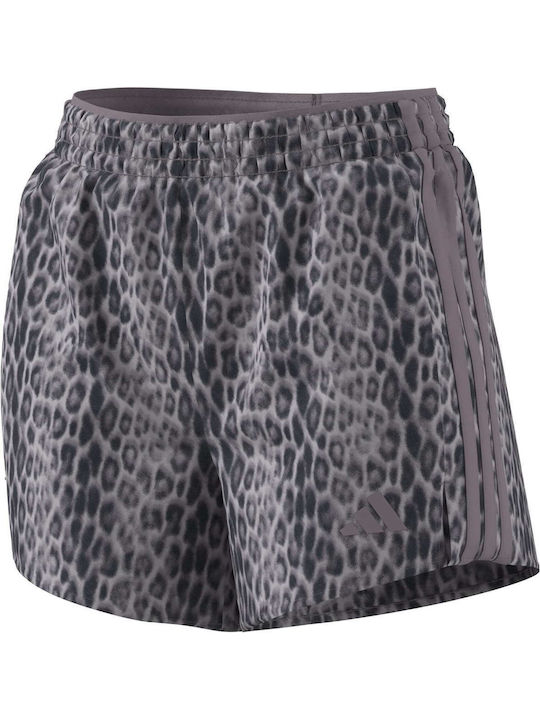 Performance Women's Activewear Shorts Purple