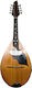 Mandolin Kouroupoto Mk-ke6
