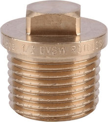 Brass Male Cap Viega 1/2"