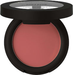 Catrice Cosmetics Soft Blush Berry Me Later! 5gr