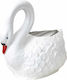 Plastic Garden Decoration EXT6073