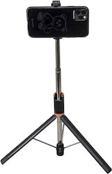 ZTS8251 Black