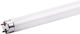 Leuchtstofflampe Led 18w T8 120cm Glas G13 Kaltweiß 6000k 1 Seite