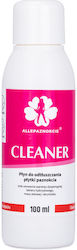 Cleaner Άρωμα 100ml Allepaznokcie
