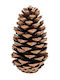 Weihnachtskranz Dekoratives Kiefer