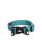 Flamingo Dog Collar Zorba Turquoise XLarge 55-75cm 38mm