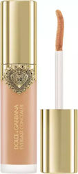 Everlast Liquid Concealer 19 Medium 11ml
