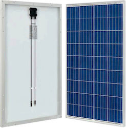 Epsolar 10-P6-36-165 Μονοκρυσταλλικό 165W 12V
