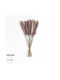 Globostar Artificial Garden Real Dried Brown Pampas Grass Bunch 21215 Αποξηραμένο Διακοσμητικό Μπουκέτο Pampas Kάφε Y50cm Σετ 15 Τμχ
