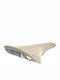Brooks Cambium C17 Special Saddle