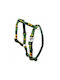 Dog Harness Green Ethnic Pattern Polypropylene Tape 10mm/25-40cm
