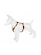 Dog Harness Autumn Pattern Tape 10mm/25-40cm Brown