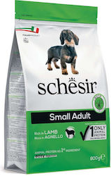 Schesir 0.8kg Dry Food for Adult Small Breed Dogs with Lamb Schesir 0.8kg Dry Food for Adult Small Breed Dogs with Lamb