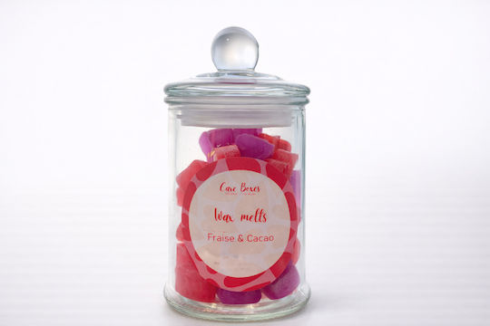 Parfum Pentru Casă Ceară Topită Silk Blossom Cu Miros De Ciocolată HWM0003-8